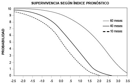 SUPERVIVENCIA SEGN NDICE PRONSTICO