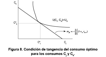 Figura 8. Condici�n de tangencia del consumo �ptimo para los consumos Cj y Ck.